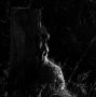 face_wood
